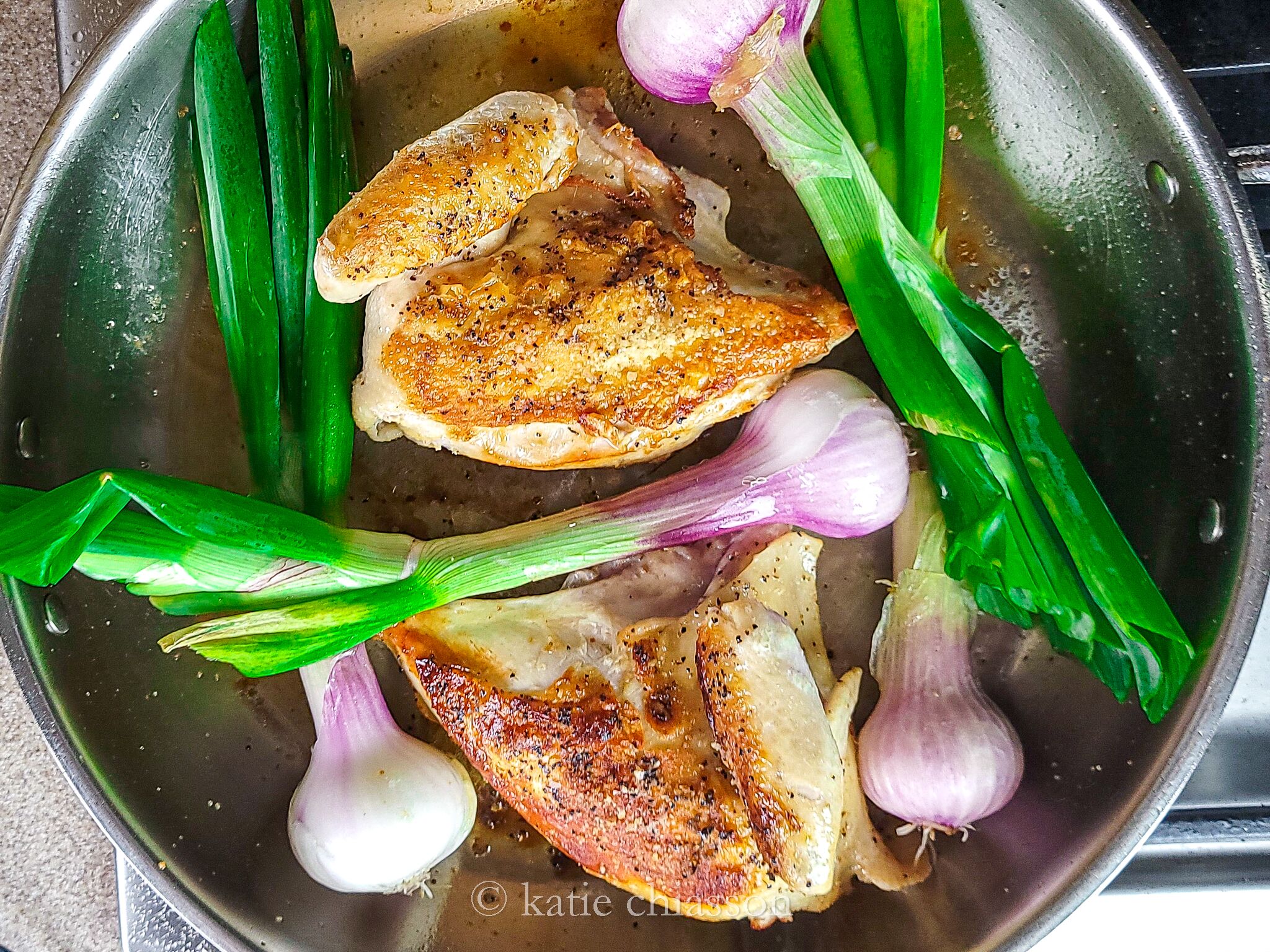 Chicken with Greek Yogurt Sauce